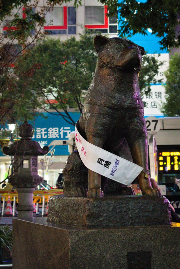 Statue of Hachikō at Night