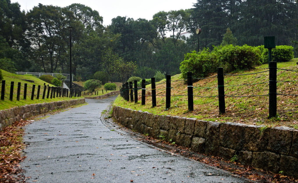 Toyama Park in the rain