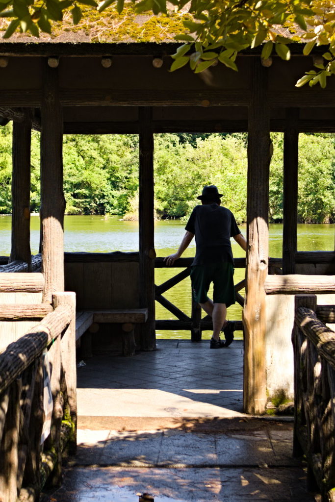 Person silhouette looking to the pond in Shakujii Park, Nerima