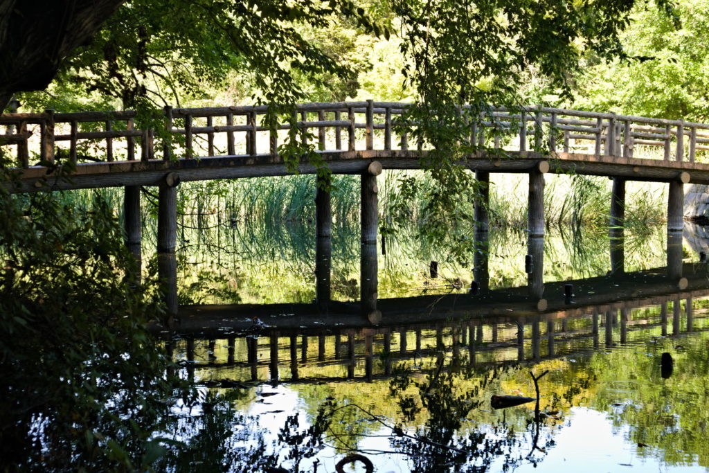 Bridge over the Pond in Shakujii Park, Nerima