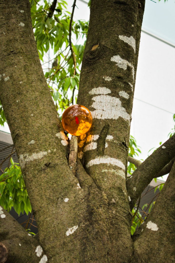 Dragon Ball hidden on a tree at the Toei Animation Museum