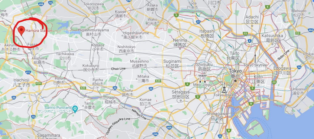 Tokyo in Google Maps highlighting Hamura Station