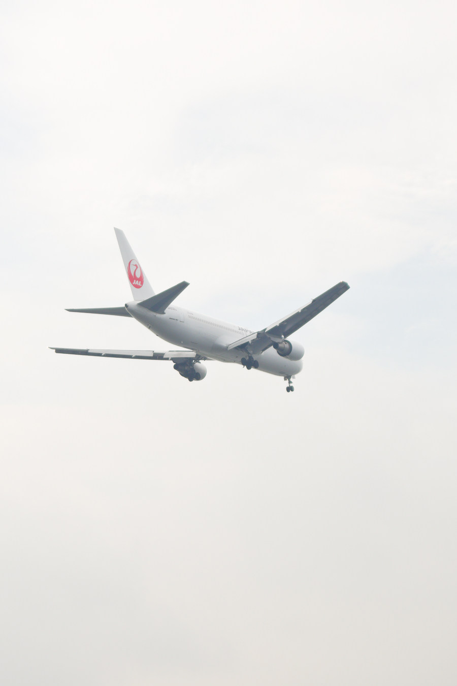 JAL Plane arriving at Haneda Airport