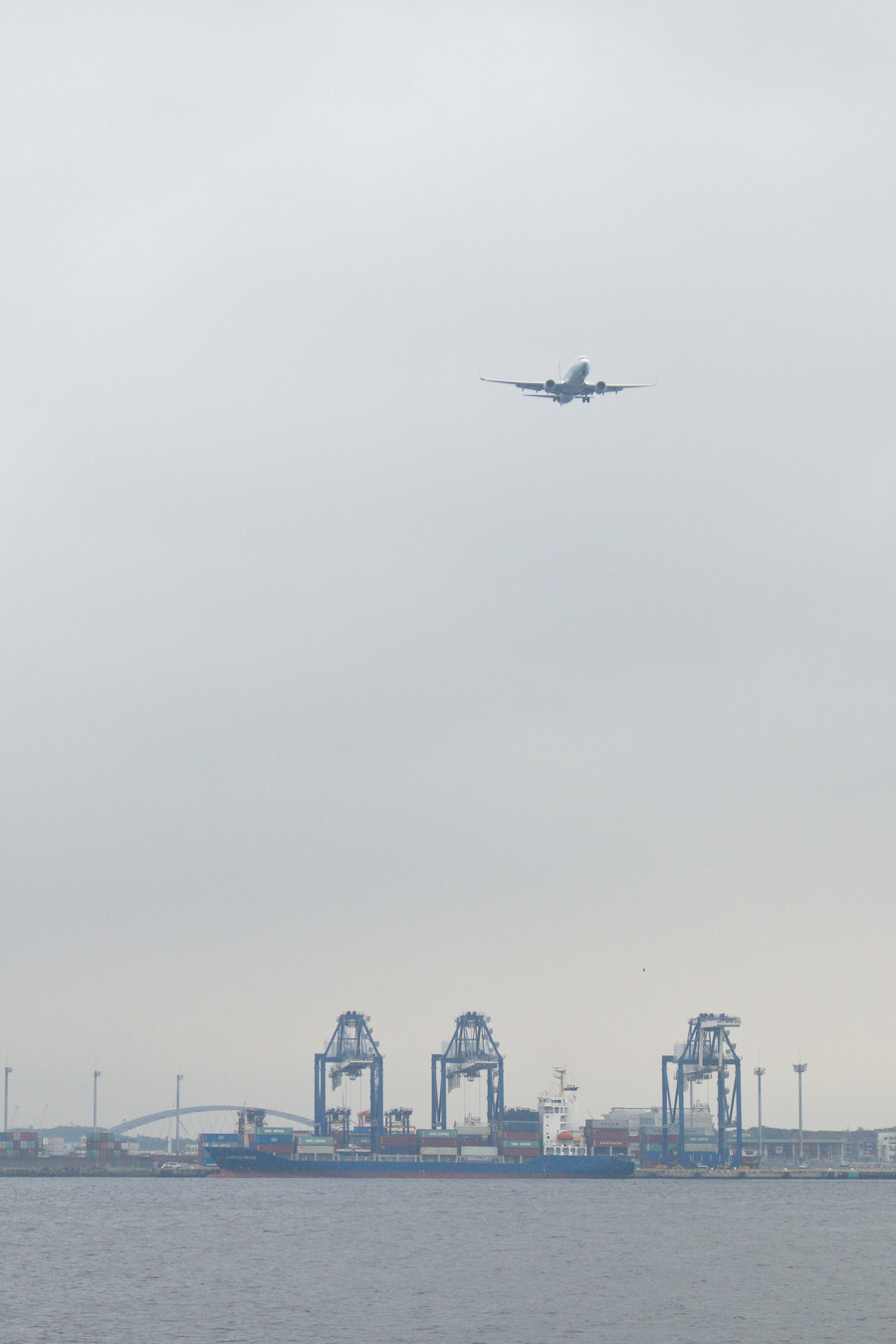 ANA Plane arriving at Haneda Airport