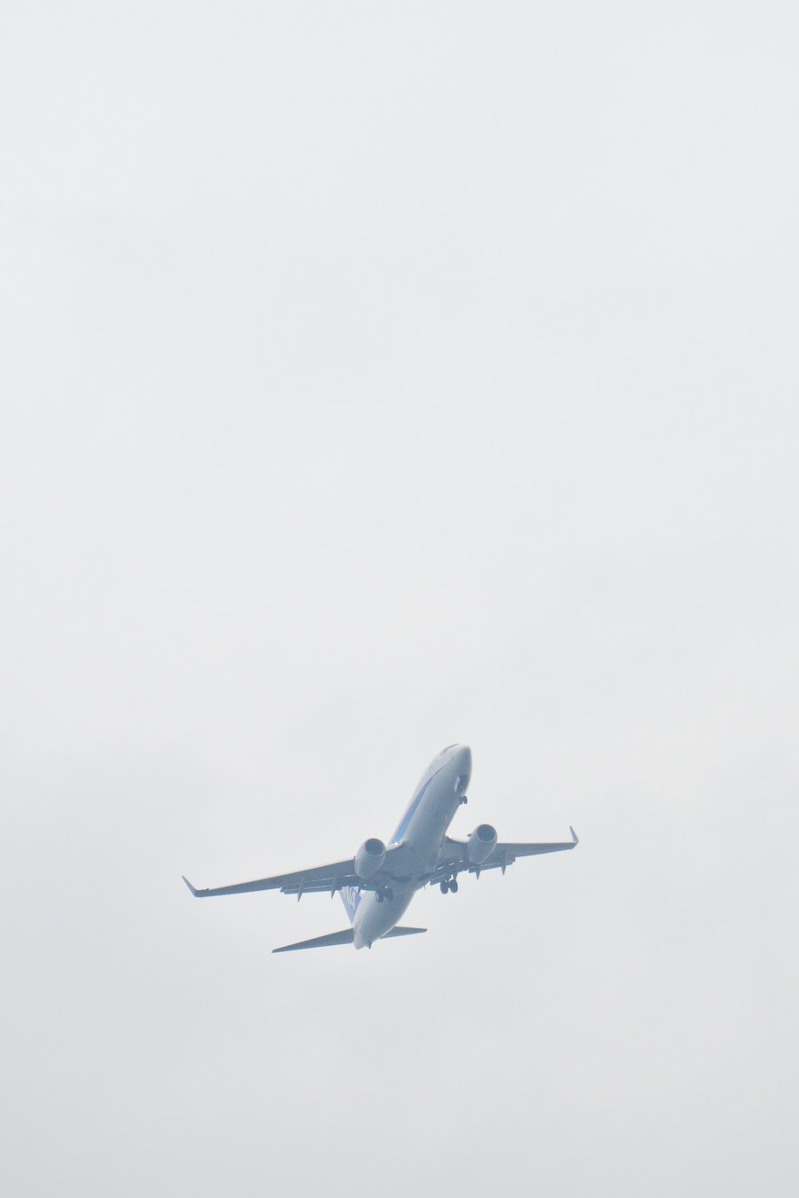 ANA Plane arriving at Haneda Airport