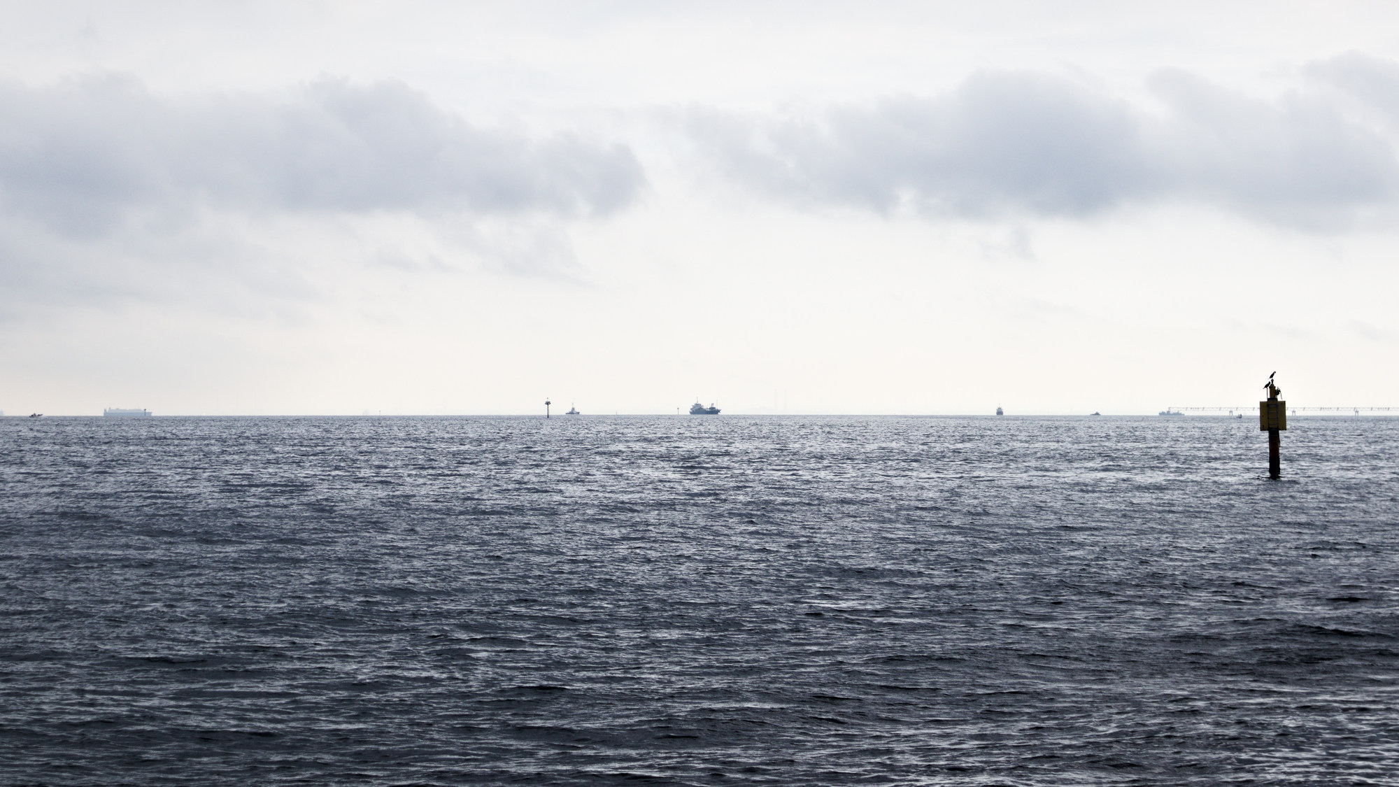 Tokyo Bay in the morning from Jonanjima Seaside Park