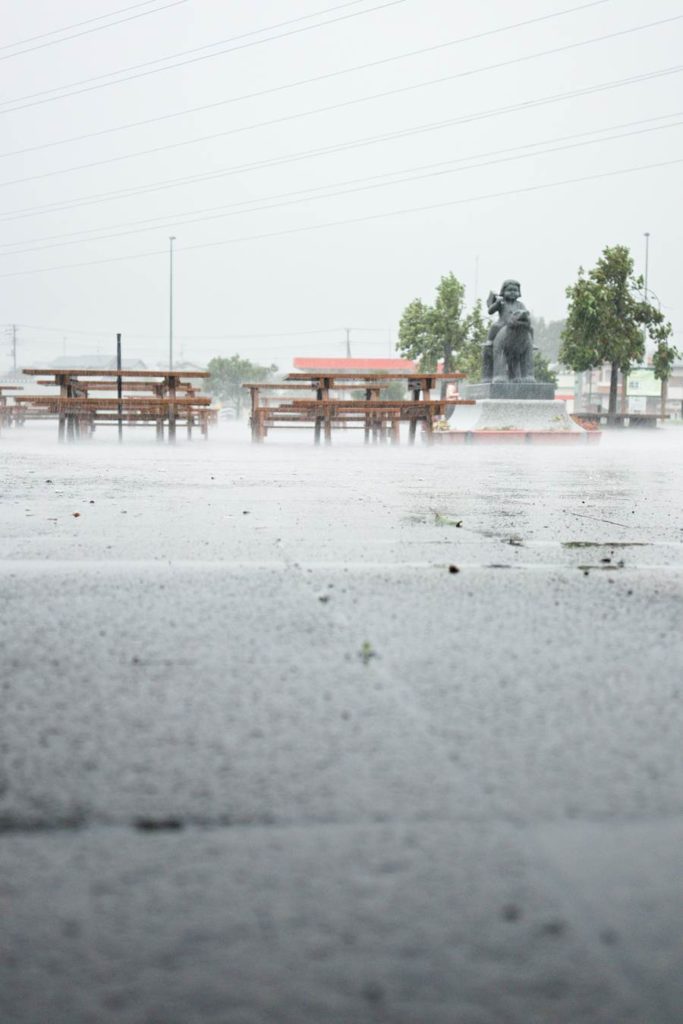 Rain at Michi no Eki Fujioyama