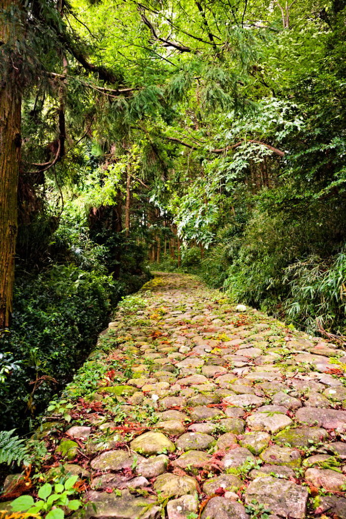 Cobblestone path from Tokaido Route