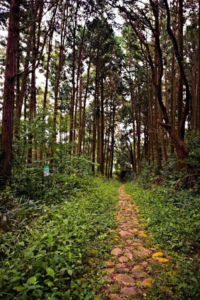 Cobblestone path from Tokaido Route